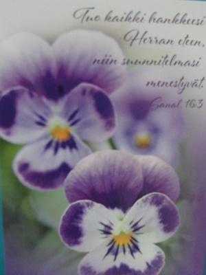 NO 100 - TUO KAIKKI HANKKEESI HERRAN ETEEN  SUUNNITELMASI