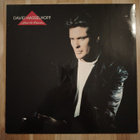 DAVID HASSELHOFF : Close to heaven -LP - pikkukuva 1