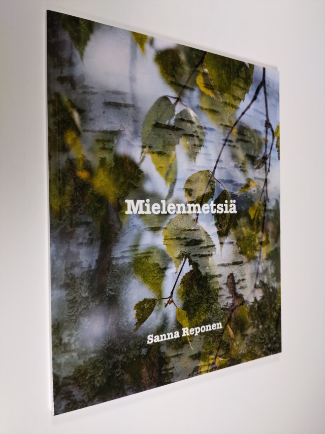 Sanna Reponen : Mielenmetsiä