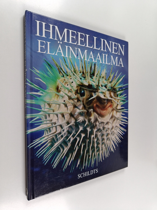 Jacqui Bailey : Ihmeellinen eläinmaailma