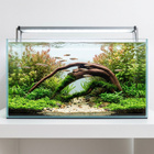 Uniikki akvaariojuurakko 61 cm | S3112623 - pikkukuva 2