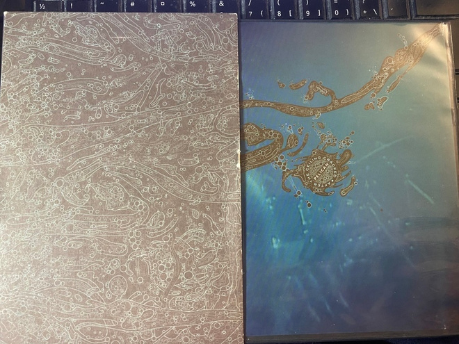 Pelican: After the Ceiling Cracked dvd + cd
