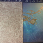 Pelican: After the Ceiling Cracked dvd + cd - pikkukuva 1