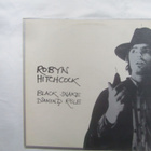 Robyn Hitchcock: Black Snake Diamond Röle LP 1981 - pikkukuva 1