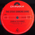STEVE GIBBONS BAND :: DOWN IN THE BUNKER :: VIYYLI LP 1978 ! - pikkukuva 3