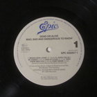 Dead Or Alive: Mad,Bad And Dangerous To Know  LP  1987 - pikkukuva 4
