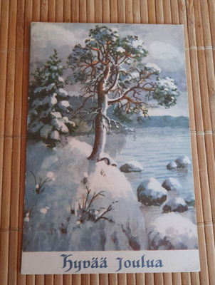 Elena Kojine, mänty kalliolla, nyrkkiposti