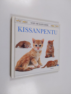 Jane Burton : Kissanpentu