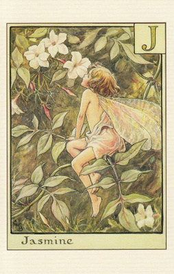 Cicely Mary Barker: Jasmiinin, kirjain J