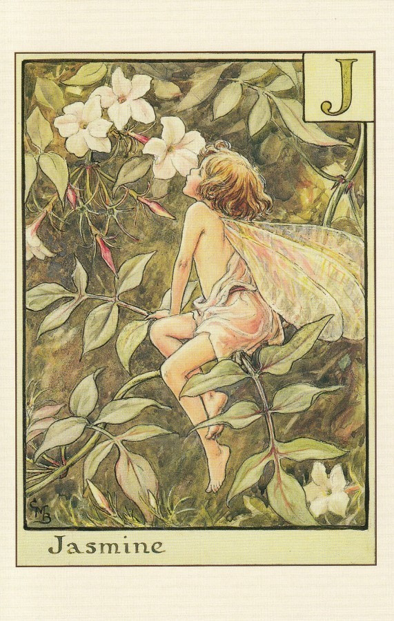 Cicely Mary Barker: Jasmiinin, kirjain J