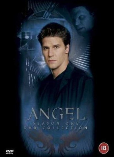 Angel season 1 • 6×DVD R2 Suomi