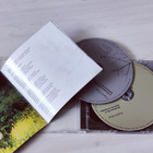 Fridrich Bruk- Suomalaisessa vireessä 2 cd - pikkukuva 3