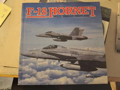 F-18 Hornet Multi-mission warplane