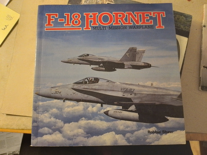 F-18 Hornet Multi-mission warplane