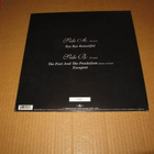 Nightwish 12" Bye Bye Beautiful Limited Edition PD 2008 - pikkukuva 2