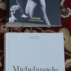 Michelangelo Paintings, Sculptures ja Graphic Works  TASCHEN - pikkukuva 5