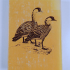 Stanley A. Temple : Endangered Birds - Management Techniq... - pikkukuva 2