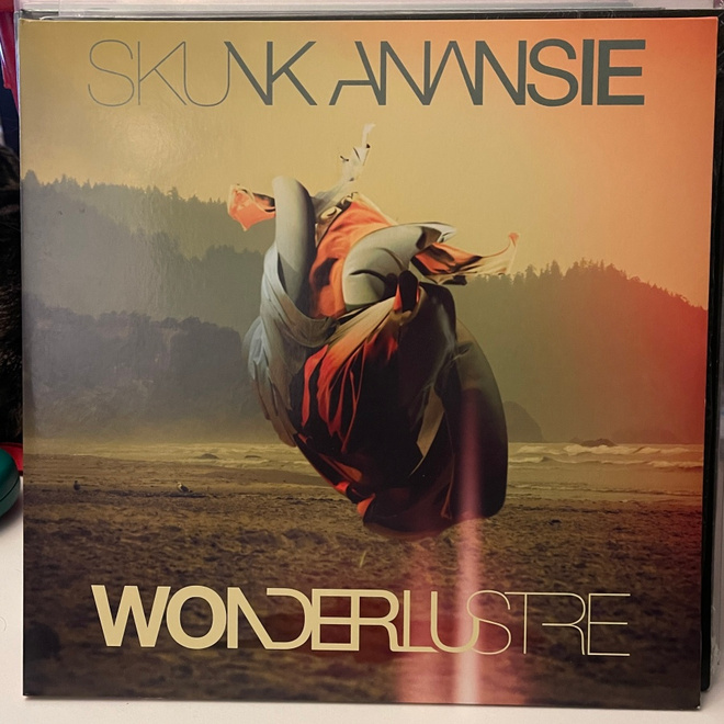 Skunk Anansie - Wonderlustre