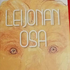 Raija Oranen: Leijonan osa - pikkukuva 1