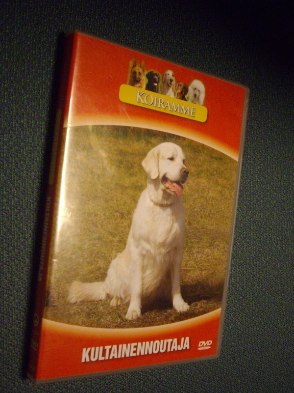 Koiramme - KULTAINENNOUTAJA DVD ( Sis.postikulut )