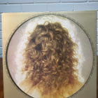 Roger Daltrey - Daltrey LP - pikkukuva 2