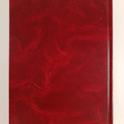 Sara Rains : 2000 Outstanding Intellectuals of the 21st C... - pikkukuva 2