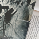 Antony Beevor - Stalingrad (sid.) - pikkukuva 5