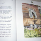 Honkaranta - Seppo Verneri Veturi ja Hyrsylän Mutkan - pikkukuva 2
