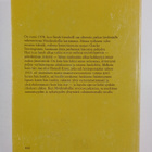 Dorothy Eden : Maidenshallin arvoitus - pikkukuva 2
