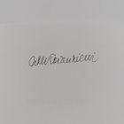 Anne-Maarit Koivuniemi : Poisannettu (signeerattu) - pikkukuva 3