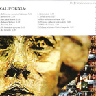 ULTRA BRA  ::  KALIFORNIA  ::  CD  ALBUM     1999 - pikkukuva 2