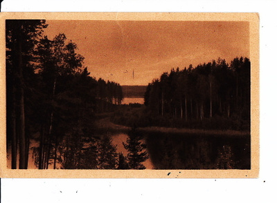 VANHA Postikortti Punkaharju 1925