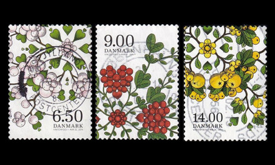 Tanska 1801-3 o Joulu talven runoutta marjoja (2014)