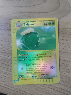 Skiploom