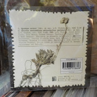 CMX - MYRSKYN RATSUT CDS - pikkukuva 2