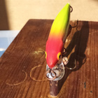 Rapala  Husky Jerk Finland  6cm - pikkukuva 3