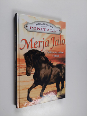 Merja Jalo : Salaisuuksien torni