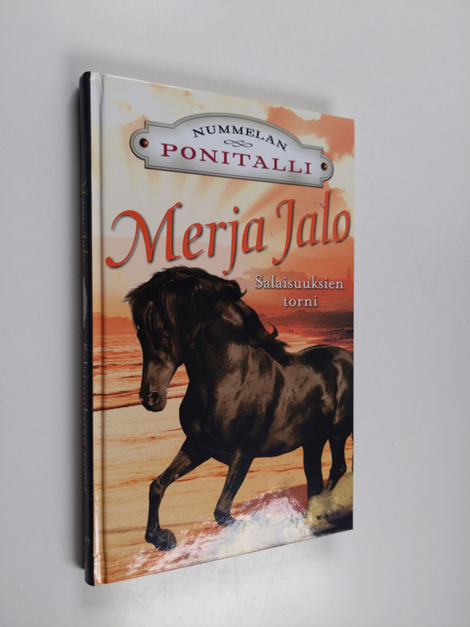 Merja Jalo : Salaisuuksien torni