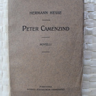 Herman Hesse: Peter Camenzind 1908 - pikkukuva 1