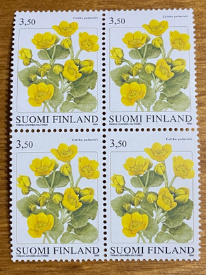 RENTUKKA NELIÖ**