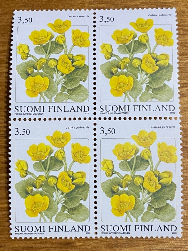 RENTUKKA NELIÖ**