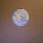 SUPER COLLIDER :: DARN COLD WAY O' LOVING :: PROMO MAX 12" - pikkukuva 1
