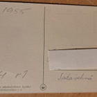 Martta Wendelin, Hy 954 R1, kulkenut käsipostissa - pikkukuva 2