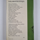 Mikko Loikkanen : Salamatkustaja - pikkukuva 2