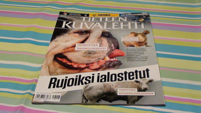 TIETEEN KUVALEHTI 13 / 2016