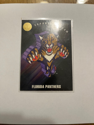 1993-94 Leaf Florida Panthers #150