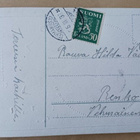 Munia, kielokimppu, liljoja, kultausta, p. 1937 - pikkukuva 2