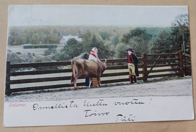 Emäntä taluttaa sonnia, pysähtyy juttelemaan, p. 1905