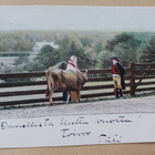 Emäntä taluttaa sonnia, pysähtyy juttelemaan, p. 1905 - pikkukuva 1
