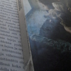 Enid Blyton - Viisikko ja tornin salaisuus (nid.) - pikkukuva 2